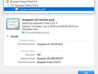 BuyPass GO SSL 证书试用 的插图