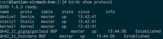 birdc show protocol